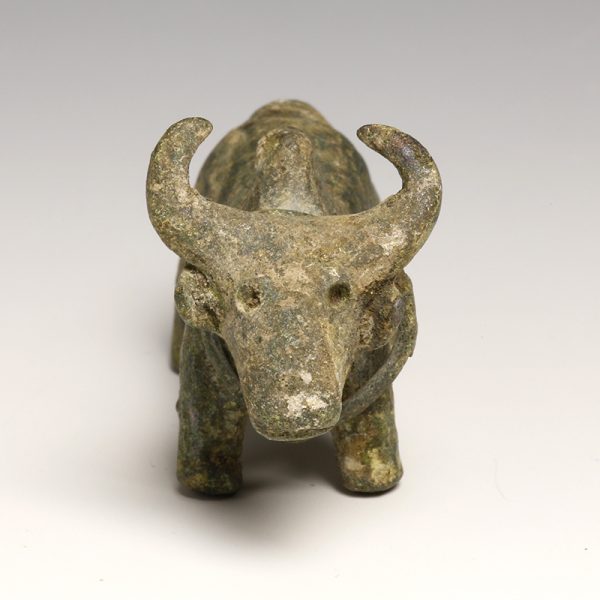 Western Asiatic Bronze Zebu