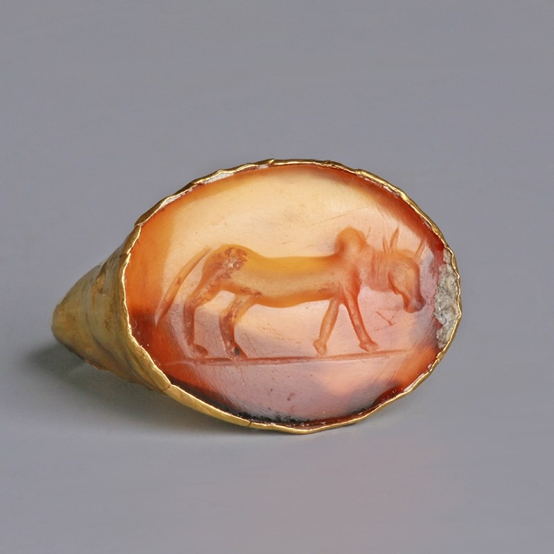 Roman Gold Ring with Zebu Intaglio