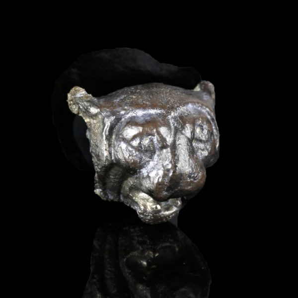 Silver Lion's Head Appliqué