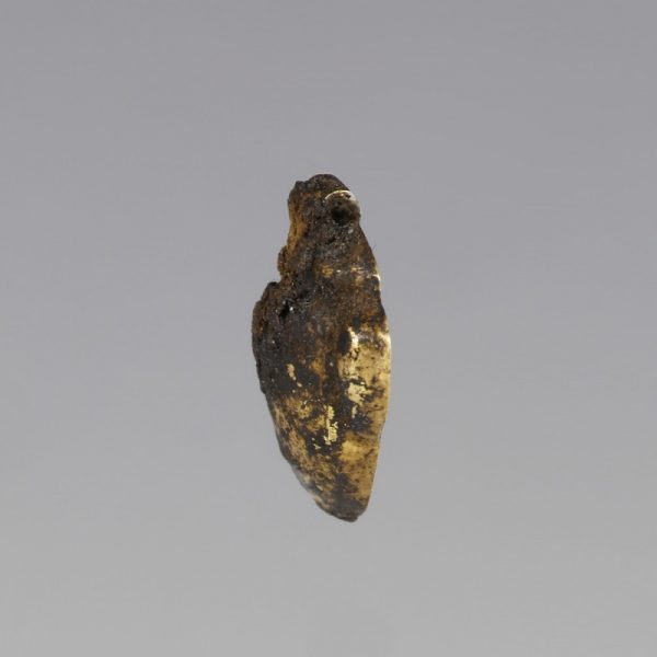 Gold Egyptian Heart Amulet