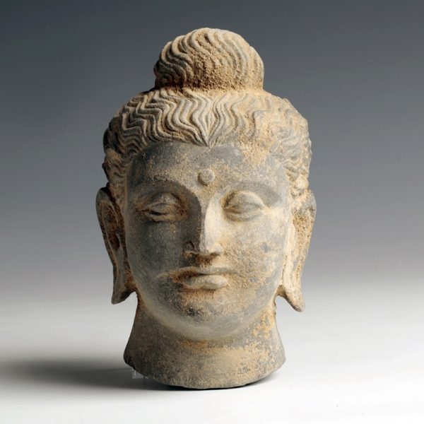 Gandhara Stone Schist Head of Buddha