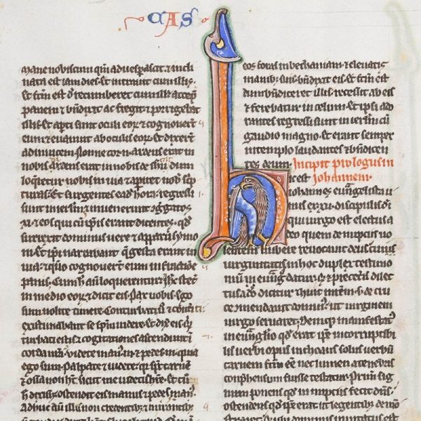 Illuminated Medieval Bible Page