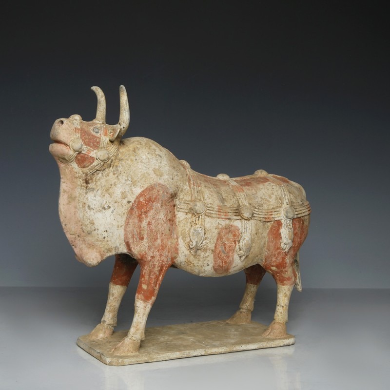 Tang Dynasty Standing Ox