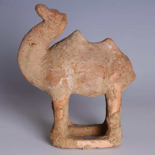Tang Dynasty Terracotta Camel