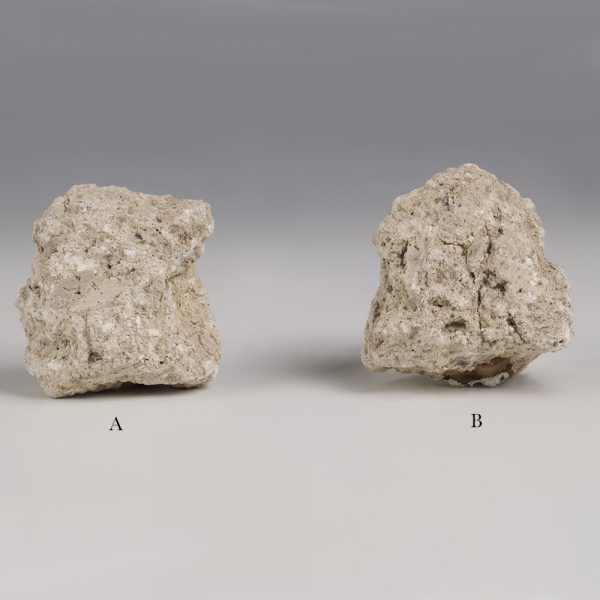 Selection of Pompeii Plaster Fragments with Pigments