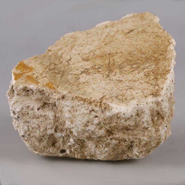 Plaster Fragment from Pompeii