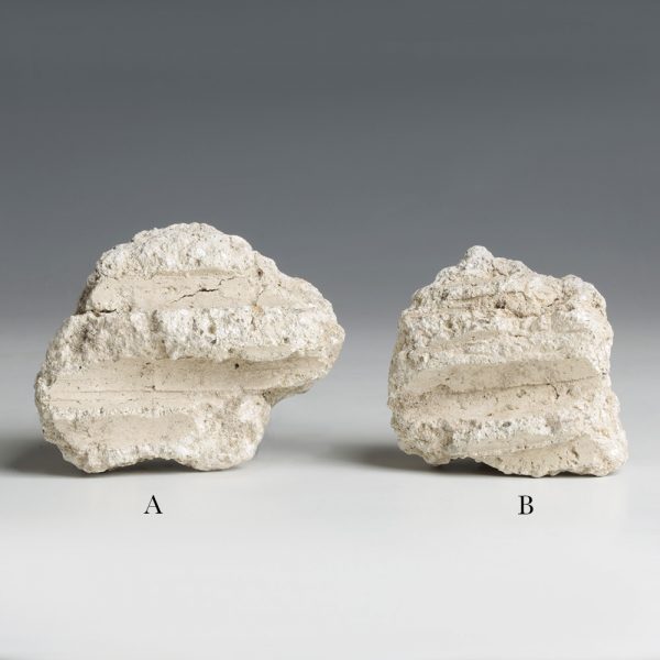 Plaster Fragments from Pompeii
