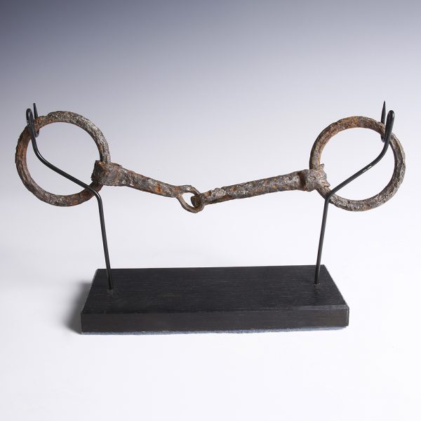 Medieval Iron Horse Bridle