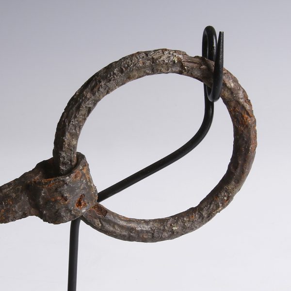 Medieval Iron Horse Bridle
