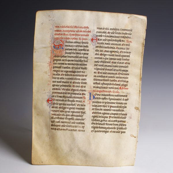 Illuminated Bible on Vellum