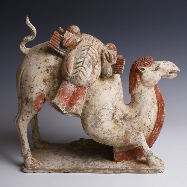 Tang Dynasty Terracotta Camel