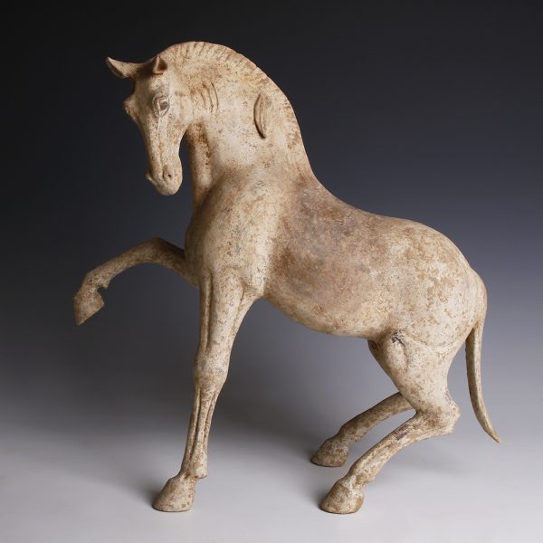 Terracotta Horse from the Tang Dynasty