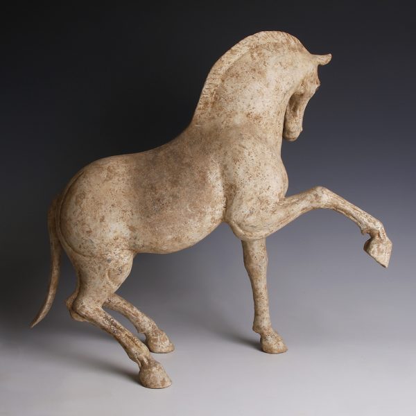 Terracotta Horse from the Tang Dynasty
