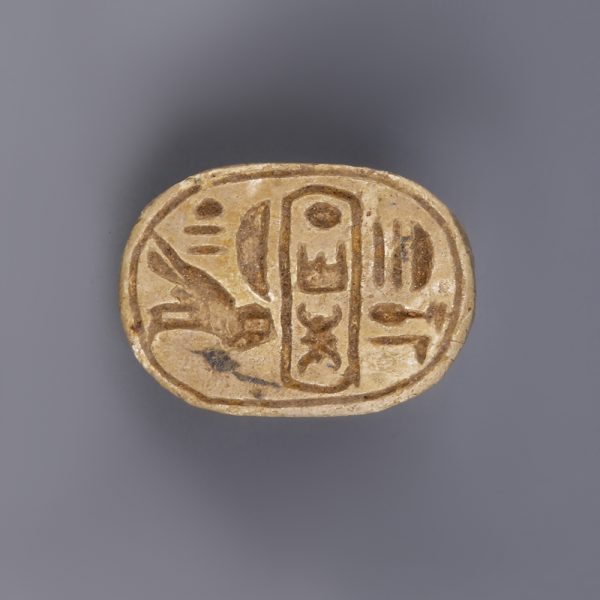Steatite Scarab with Throne Name of Thutmosis III