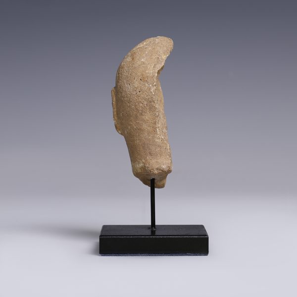 Akkadian Stone Head of A King Worshipper