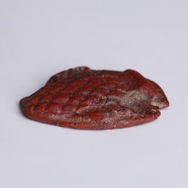 An Egyptian Red Faience Plaque of a Fish