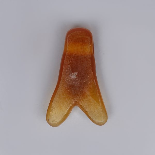 Ancient Egyptian Carnelian Fly Amulet
