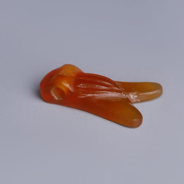 Ancient Egyptian Carnelian Fly Amulet