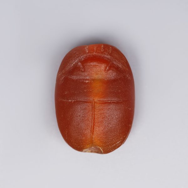 Ancient Egyptian Carnelian Scarab Amulet