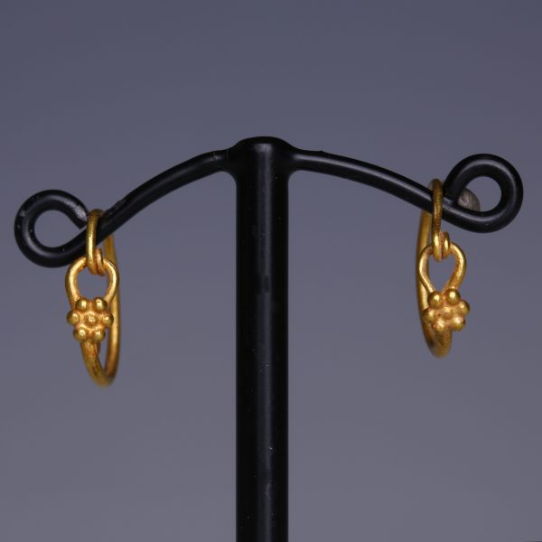 Roman Gold Hoop Earrings with Daisies