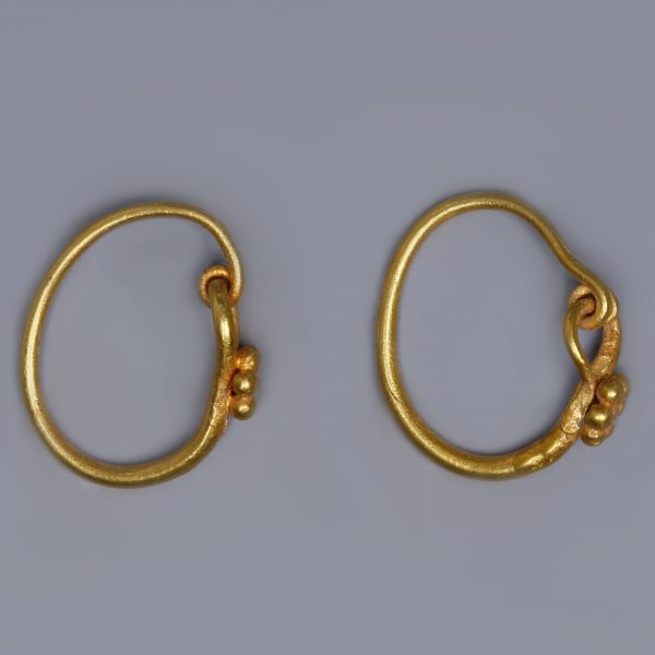 Roman Gold Hoop Earrings with Daisies
