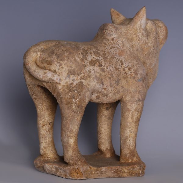 Tang Dynasty Ox Terracotta Statuette