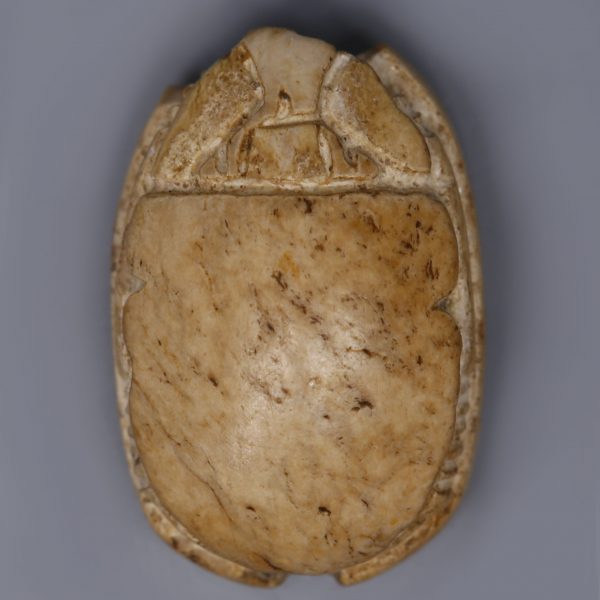 Canaanite Seatite Scarab with a Wild Animal