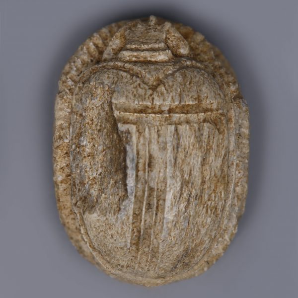 Egyptian Steatite Scarab with Royal Cartouche and Falcons