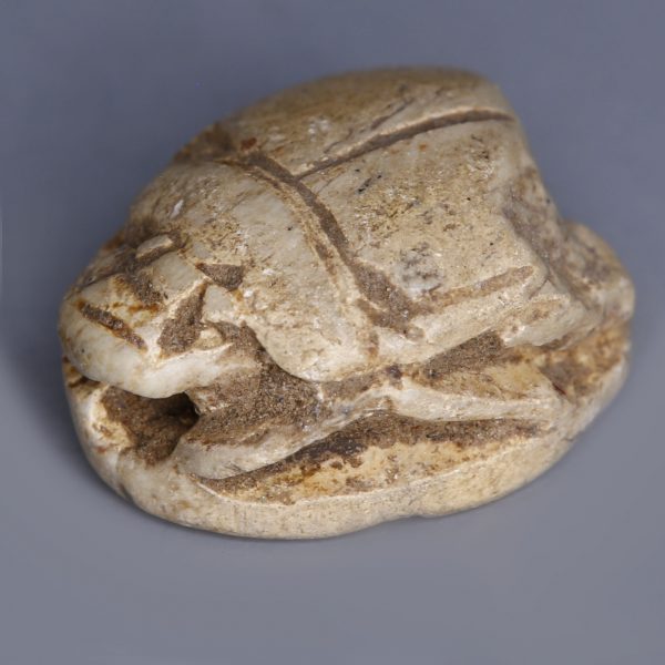Egyptian Steatite Scarab Amulet with Royal Cartouche