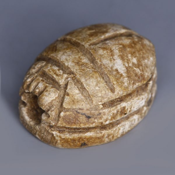 Egyptian Steatite Scarab with an Antelope
