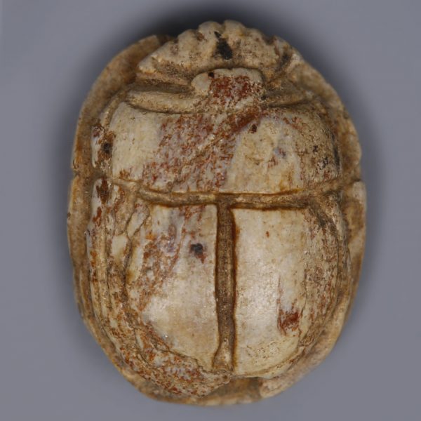 Egyptian Steatite Scarab with a Baboon