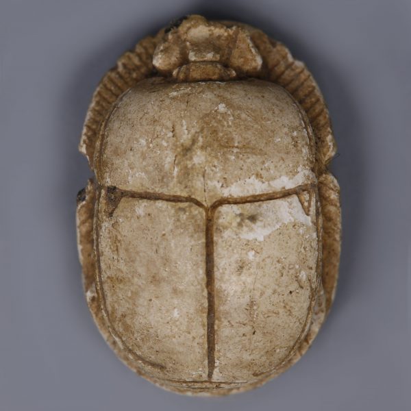 Egyptian Steatite Scarab with a Blessing to Amun