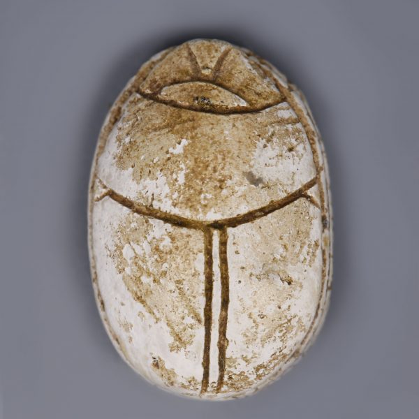 Egyptian Steatite Scarab Dedicated to Thutmose III and Amun