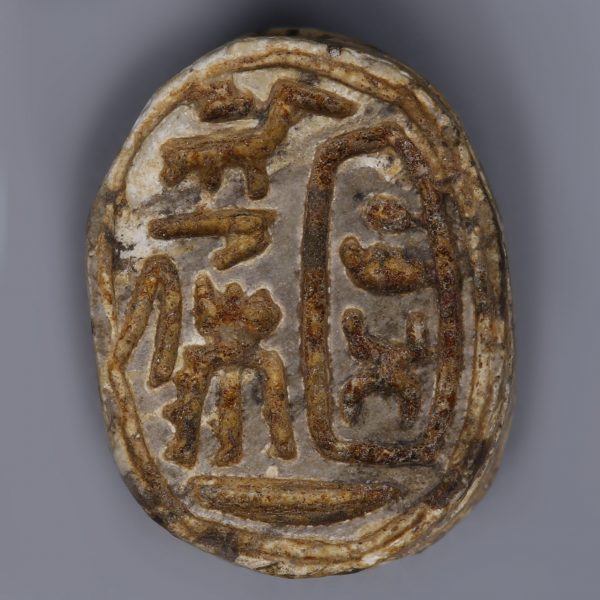 Steatite Egyptian Scarab with Royal Cartouche