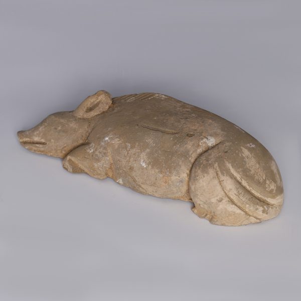 Han Dynasty Pig Clay Paperweight