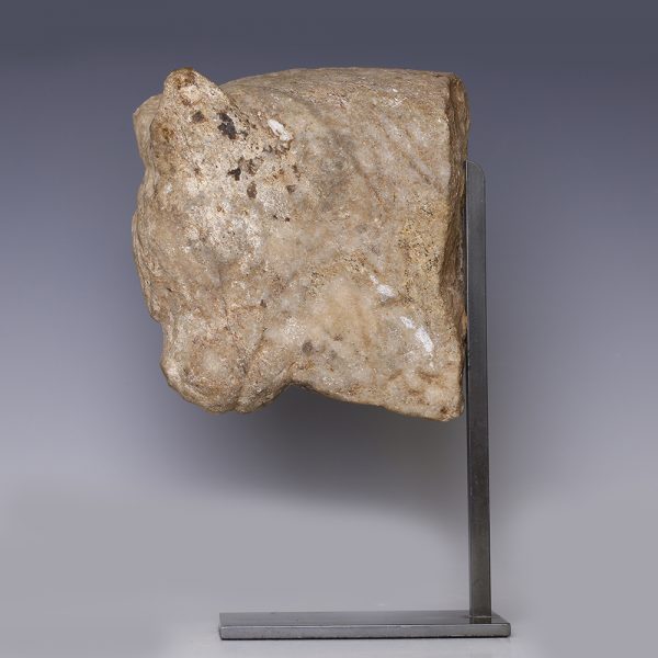 Achaemenid Bovine Head Fragment
