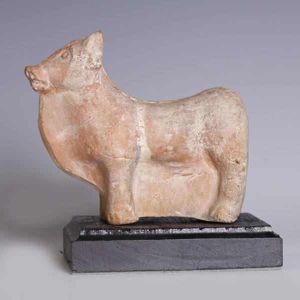 Hellenistic Terracotta Statuette of a Bull