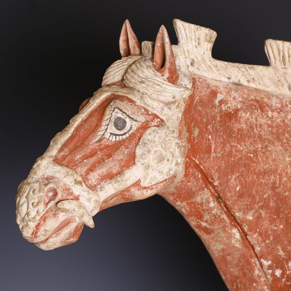 Tang Dynasty Mingqi Horse