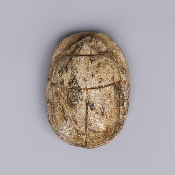 Egyptian Steatite Scarab Amulet Dedicated to Hapy