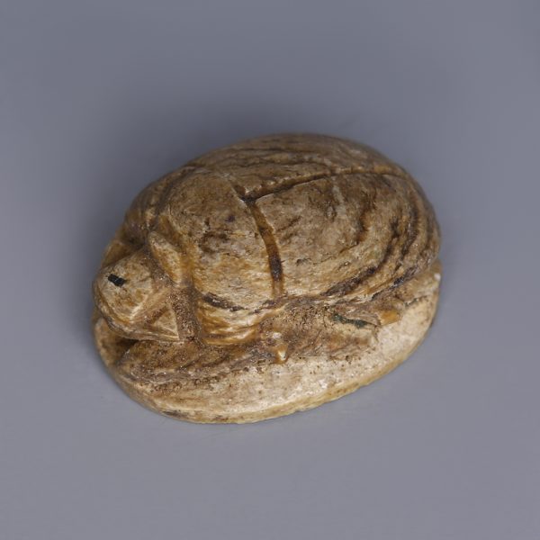 Egyptian Steatite Scarab Featuring Royal Cartouches