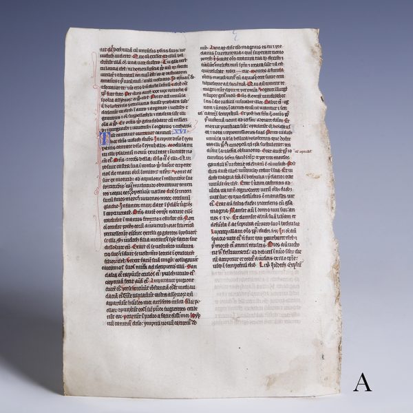 medieval british bible leaf