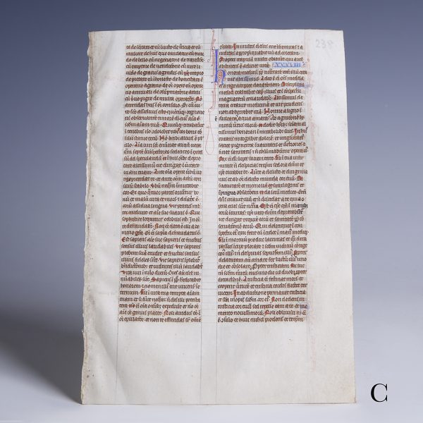 medieval british bible leaf