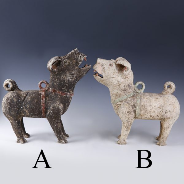 Chinese Han Dynasty Guardian Dog Selection