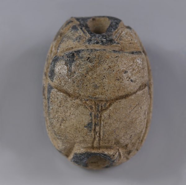 Egyptian Steatite Middle Kingdom Scarab