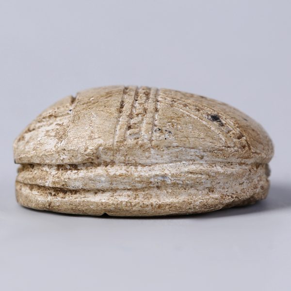 Egyptian Steatite Scarab with Uraei