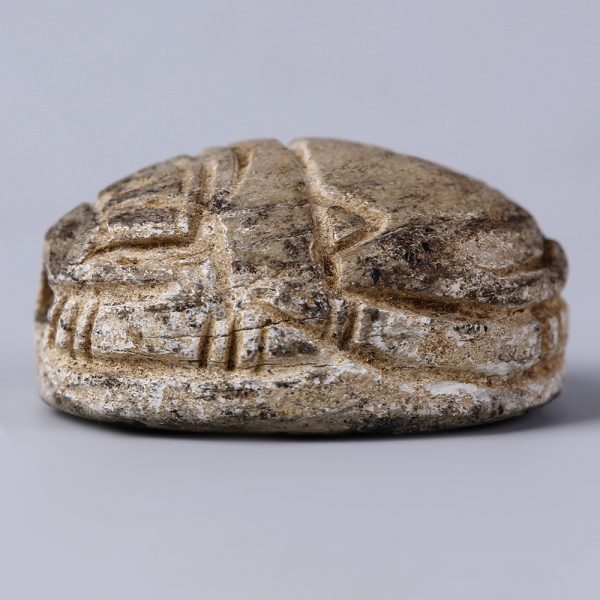 Large Egyptian Steatite Scarab with Royal Cartouche