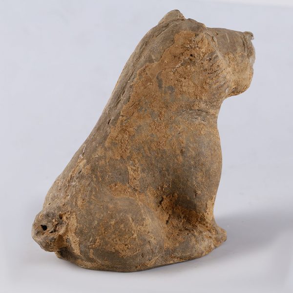 Han Dynasty Dog Terracotta Figurine