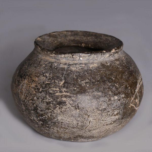 Han Dynasty Globular Jar with Incised Fish