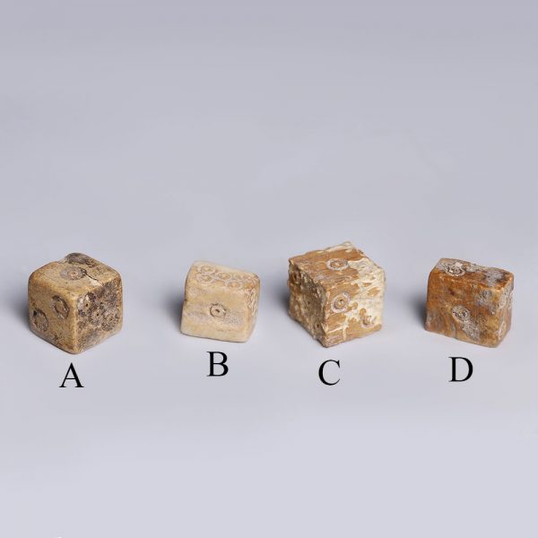 Selection of Roman Bone Dice