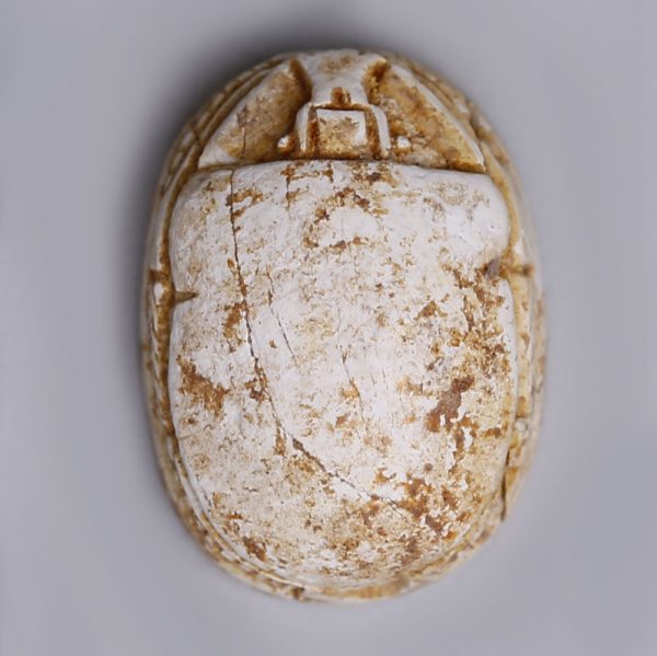 Egyptian Steatite Scarab with a Winged Beetle